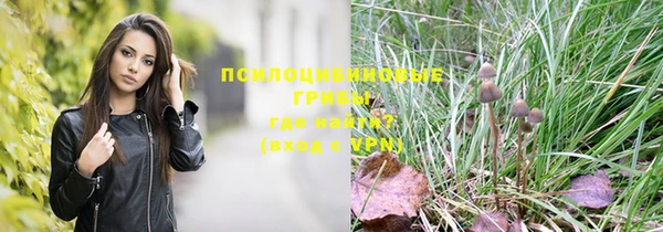 прущие крисы Протвино