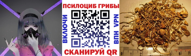 Псилоцибиновые грибы Psilocybine cubensis  Купить где  Лебедянь 